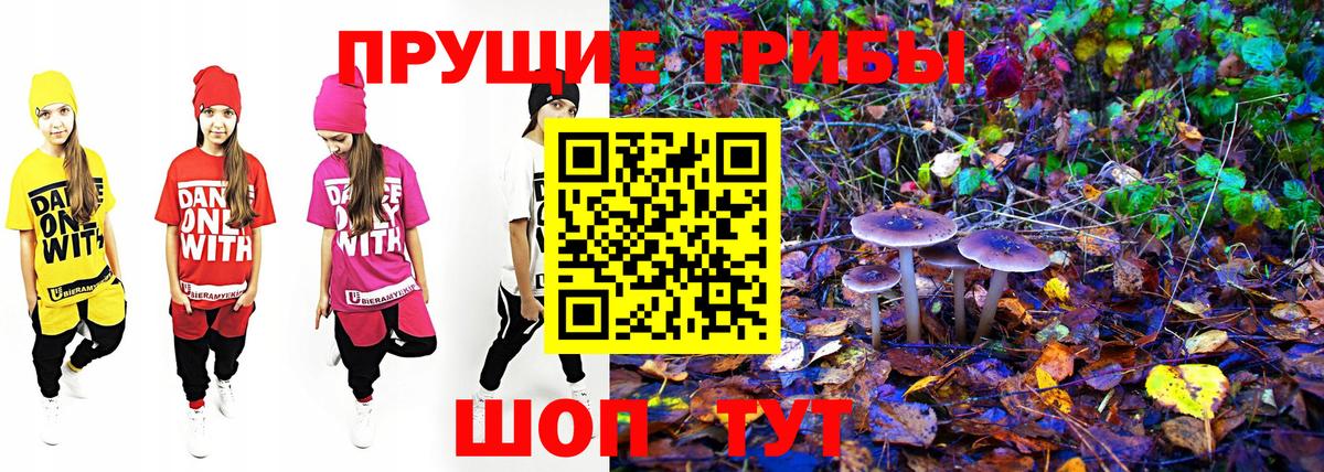 Псилоцибиновые грибы Psilocybine cubensis Заринск